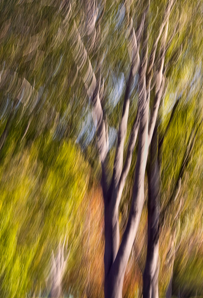 2007-11-04-Drive-By-2458-2