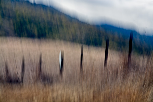 2007-12-02-Uvas-Canyon-2650