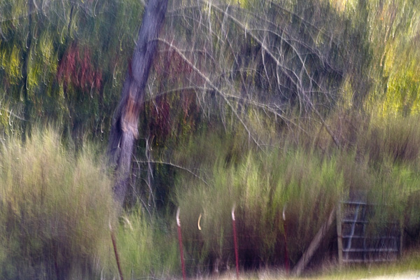 2007-12-02-Uvas-Canyon-2726