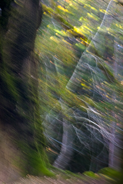 2007-12-02-Uvas-Canyon-2776