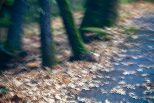 2007-12-02-Uvas-Canyon-2787