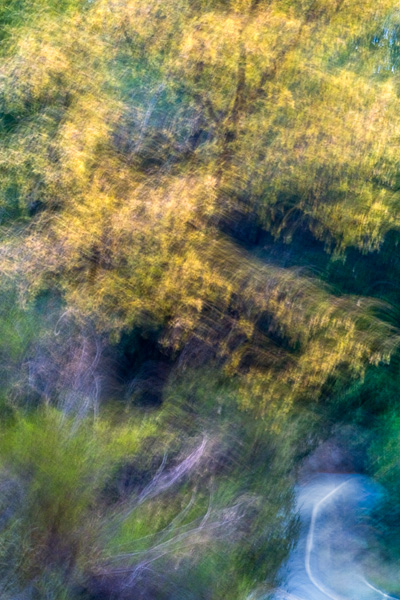 2007-12-02-Uvas-Canyon-2890