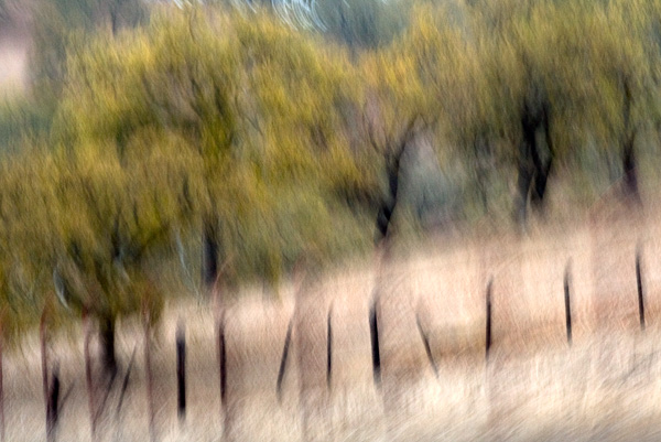 2007-12-02-Uvas-Canyon-2983-2