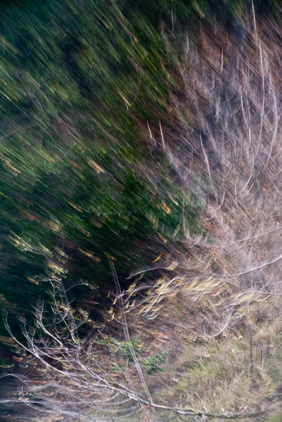 2007-12-02-Uvas-Canyon-2994