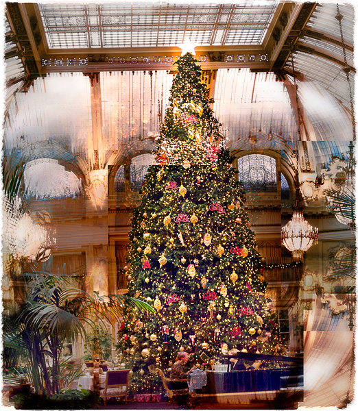 2007-12-06-Misc-0378C-copy