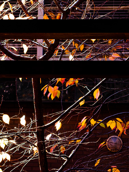 2007-12-08-Palo-ALto-0421