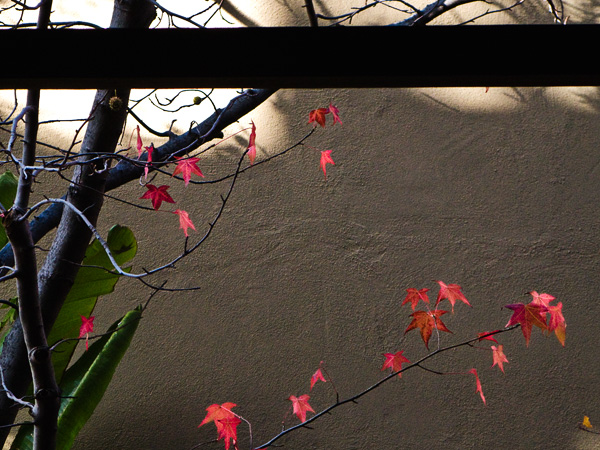 2007-12-08-Palo-ALto-0429