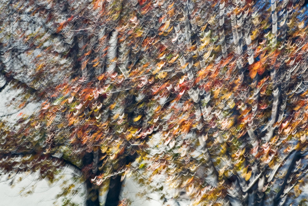 2007-12-16-Uvas-Canyon-3076