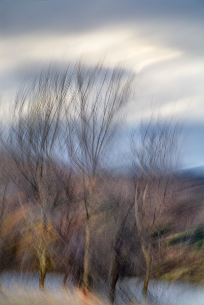 2007-12-16-Uvas-Canyon-3139