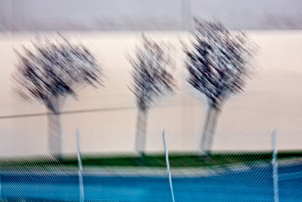 2007-12-16-Uvas-Canyon-3491