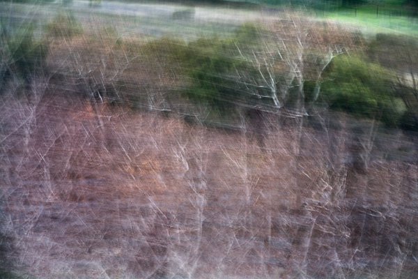 2007-12-27-Sunol-3711a