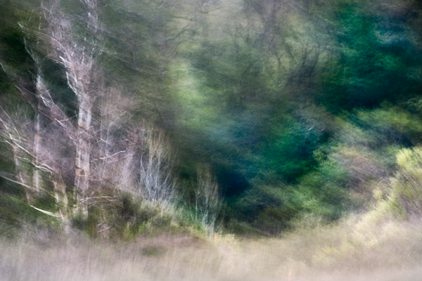 2007-12-27-Sunol-3745-2