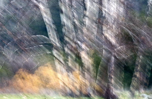 2007-12-27-Sunol-3760-2