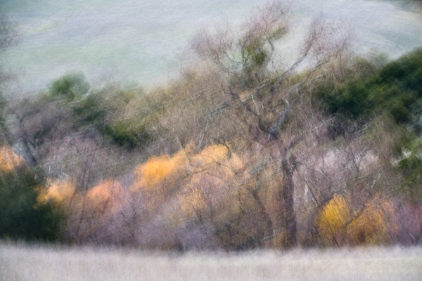 2007-12-27-Sunol-3774