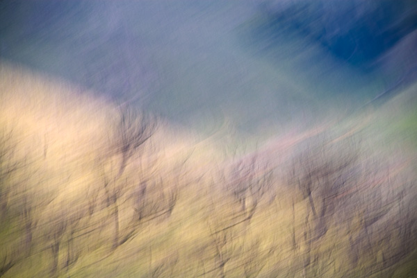 2007-12-30-Sunol-3887