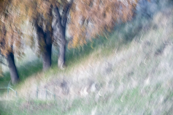 2007-12-30-Sunol-4023