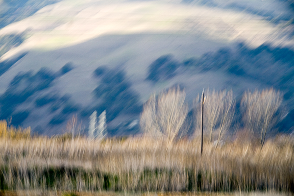 2007-12-30-Sunol-4037