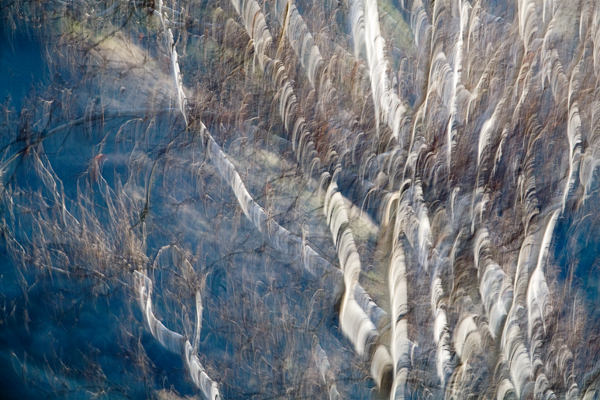 2007-12-30-Sunol-4069