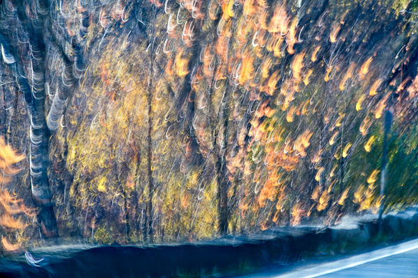 2007-12-30-Sunol-4090