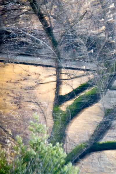 2007-12-30-Sunol-4096