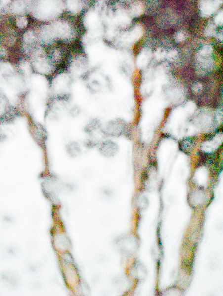 2008-01-01-Sunol-0457