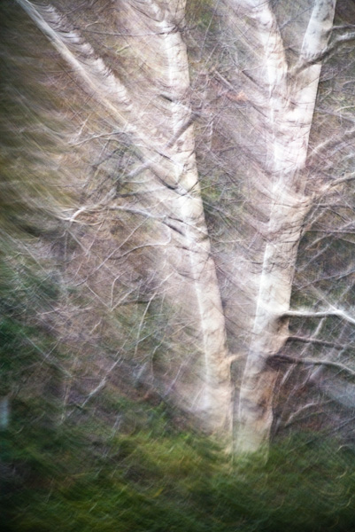 2008-01-01-Sunol-4250