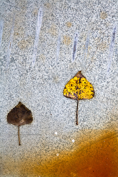 2008-01-06-Emeryville-4363