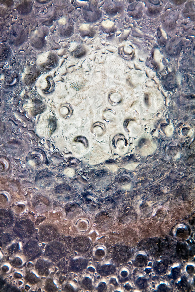 2008-01-06-Emeryville-4383