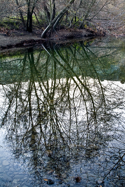 2008-01-12-SUnol-4417