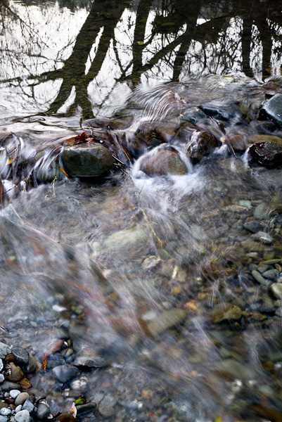 2008-01-12-SUnol-4423-2