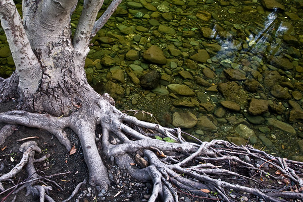 2008-01-12-SUnol-4427