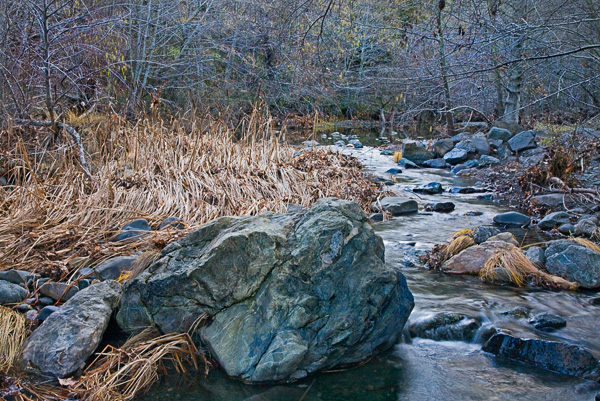 2008-01-13-SUnol-4436