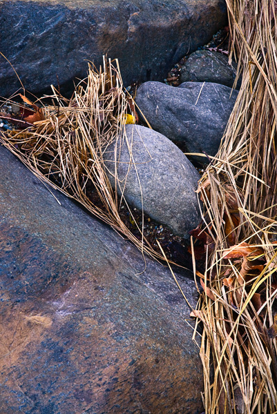 2008-01-13-SUnol-4458