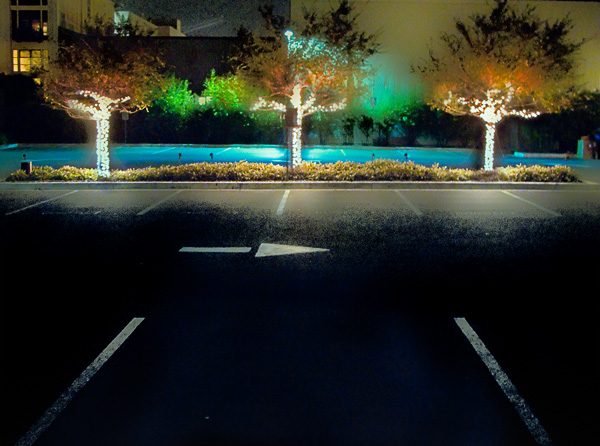 2008-01-18-Misc-0482