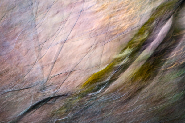 2008-01-18-Sunol-4612