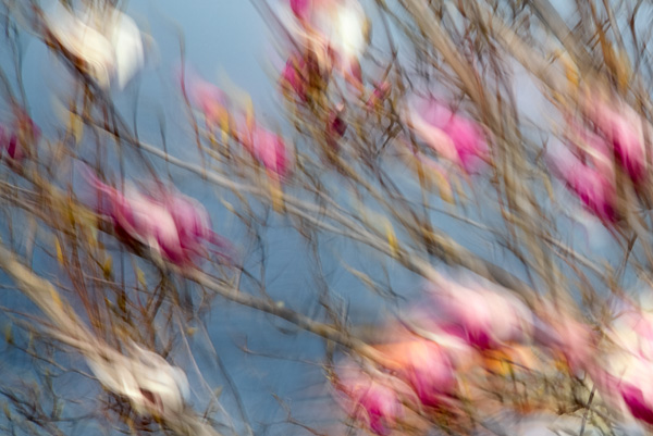 2008-01-20-Sunol-4645