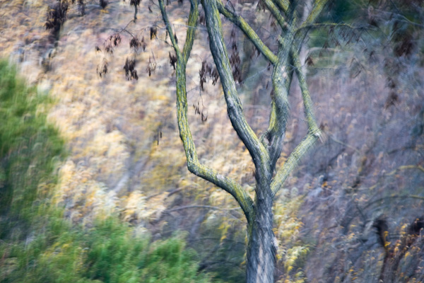 2008-01-20-Sunol-4675