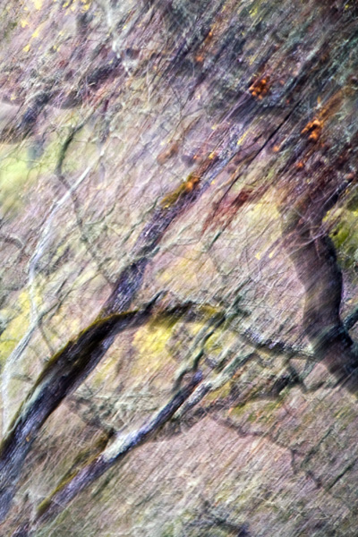 2008-01-20-Sunol-4852