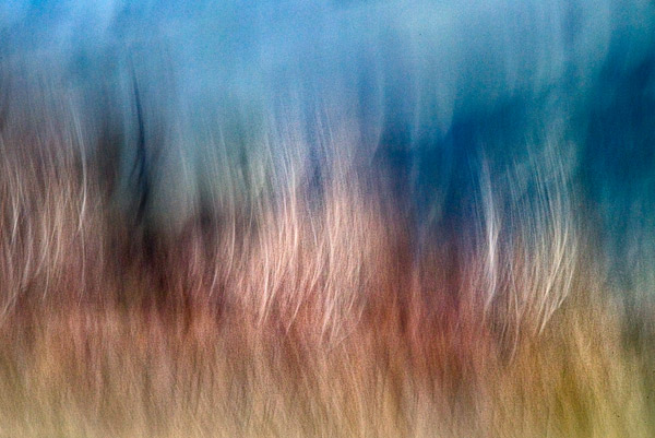 2008-01-20-Sunol-4978