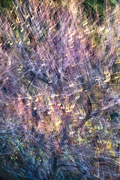 2008-01-28-Sunol-5027-2