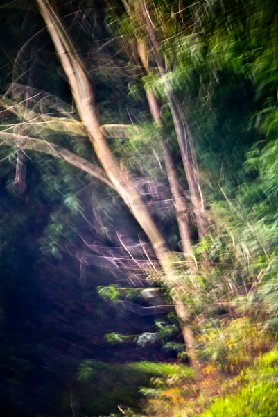 2008-01-28-Sunol-5060