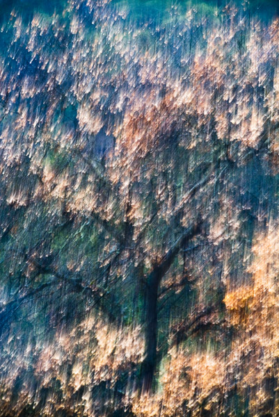 2008-01-28-Sunol-5238