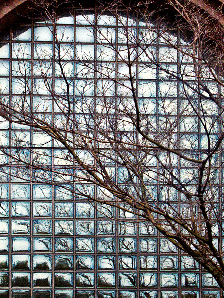 2008-02-13-Misc-0507