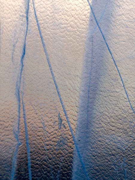 2008-02-13-Misc-0543