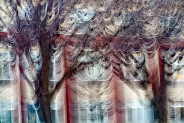 2008-02-15-Fremont-5439