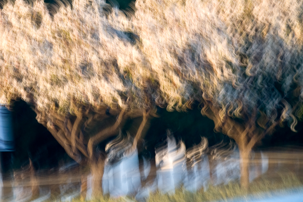 2008-02-15-Fremont-5474