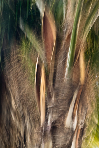 2008-02-15-Fremont-5481