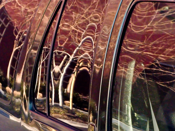 2008-02-15-Misc-0678