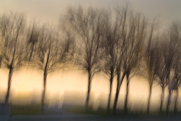 2008-02-16-Fremont-5512a2