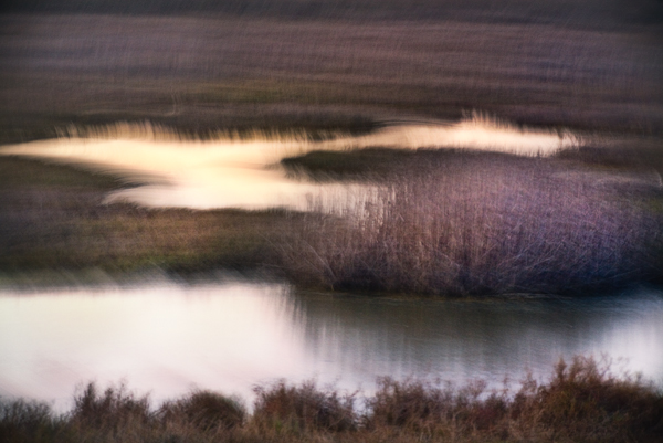 2008-02-16-Fremont-5555